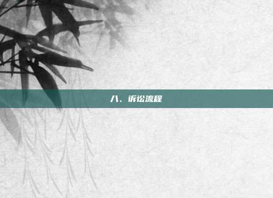 八、诉讼流程