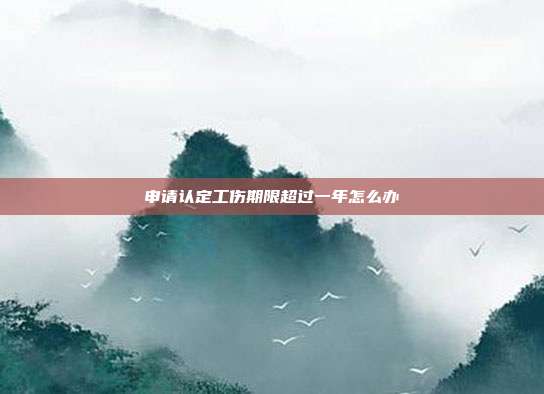 申请认定工伤期限超过一年怎么办