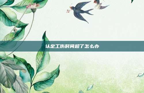 认定工伤时间超了怎么办