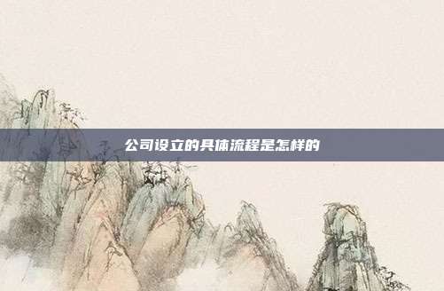 公司设立的具体流程是怎样的