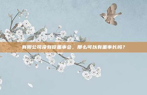 有限公司没有设董事会,那么可以有董事长吗?