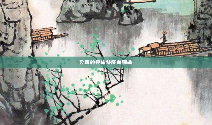 公司的具体特征有哪些