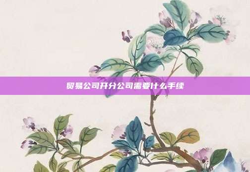 贸易公司开分公司需要什么手续