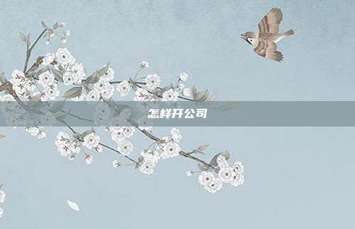 怎样开公司