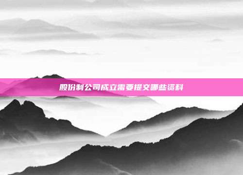 股份制公司成立需要提交哪些资料