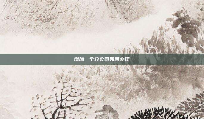 增加一个分公司如何办理
