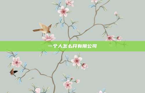 一个人怎么开有限公司