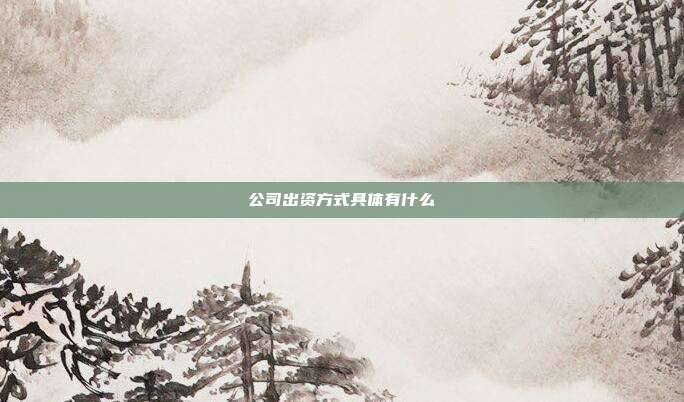 公司出资方式具体有什么