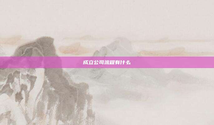 成立公司流程有什么
