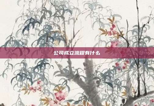 公司成立流程有什么