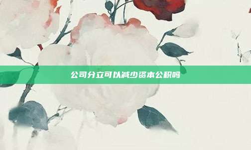 公司分立可以减少资本公积吗
