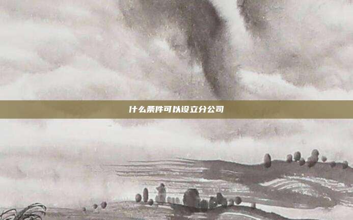 什么条件可以设立分公司