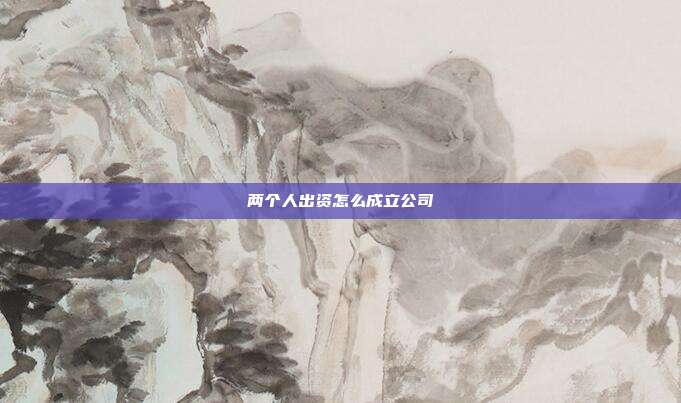两个人出资怎么成立公司