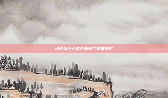 核名为什么两个字重了就不通过