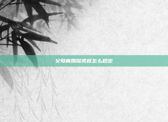父母离婚探视权怎么规定