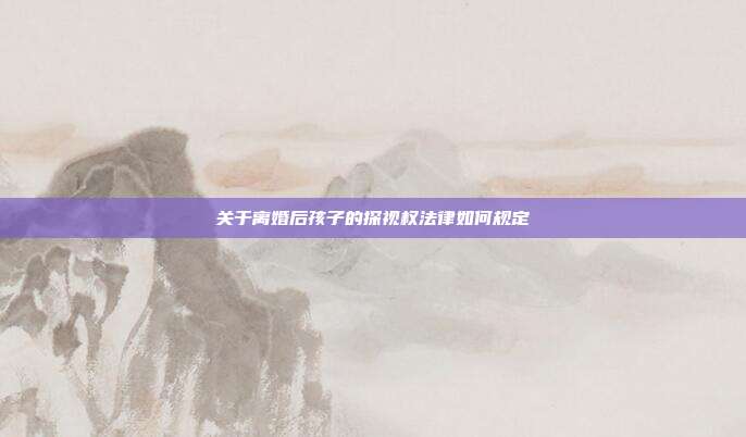 关于离婚后孩子的探视权法律如何规定