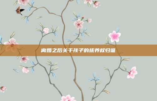 离婚之后关于孩子的抚养权归谁