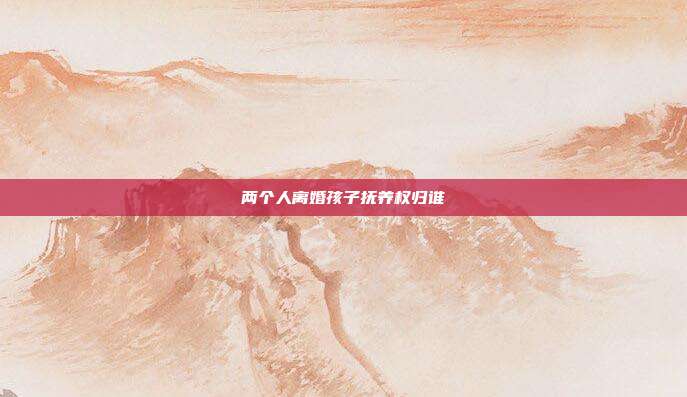 两个人离婚孩子抚养权归谁