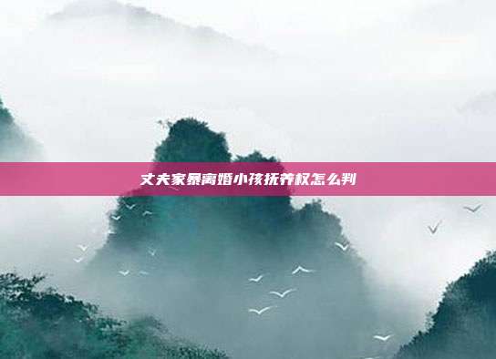丈夫家暴离婚小孩抚养权怎么判