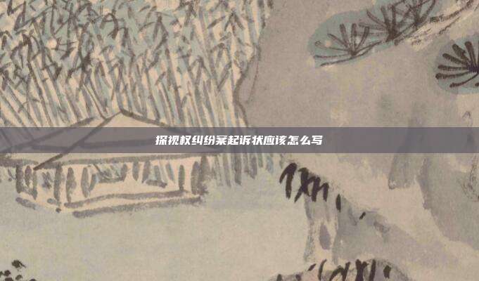 探视权纠纷案起诉状应该怎么写