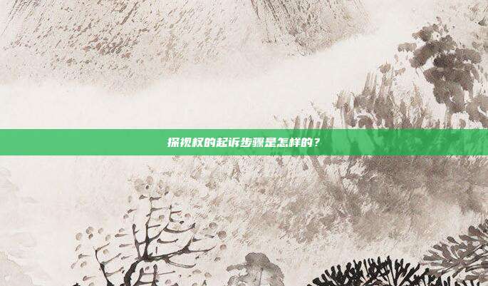 探视权的起诉步骤是怎样的?