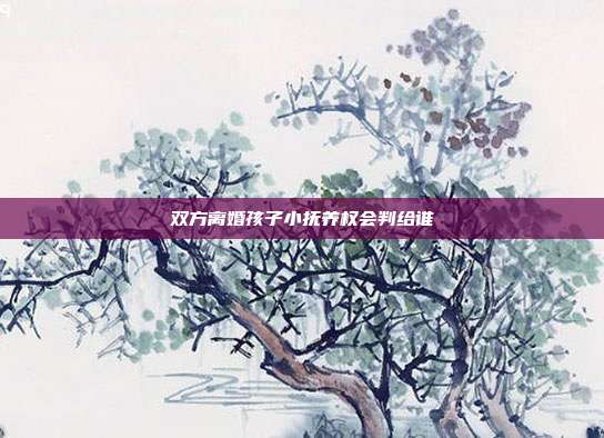 双方离婚孩子小抚养权会判给谁