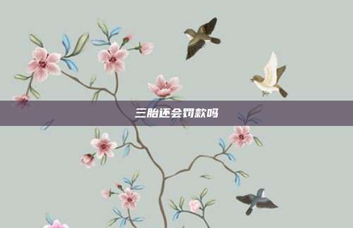三胎还会罚款吗