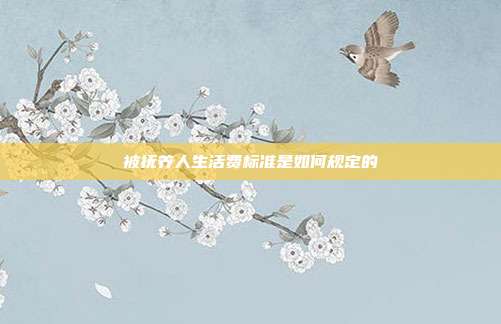 被抚养人生活费标准是如何规定的