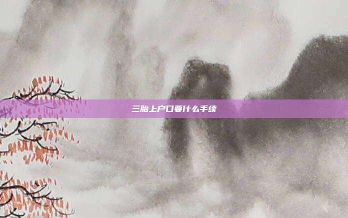 三胎上户口要什么手续