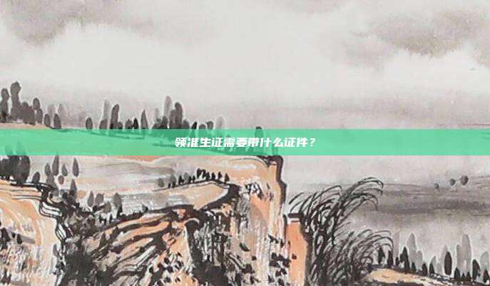 领准生证需要带什么证件?