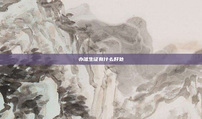 办准生证有什么好处