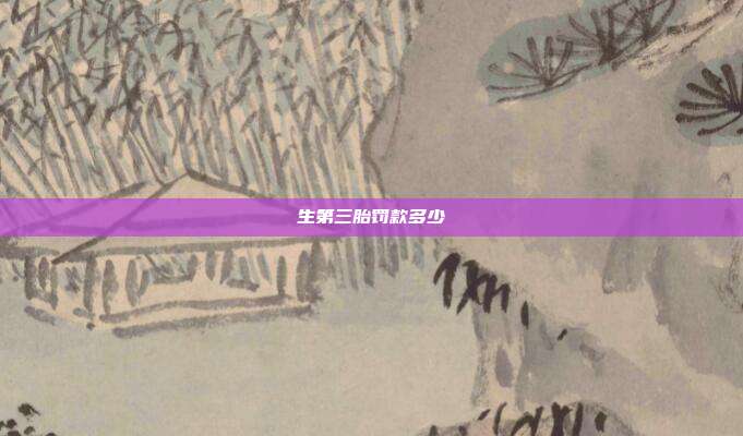 生第三胎罚款多少