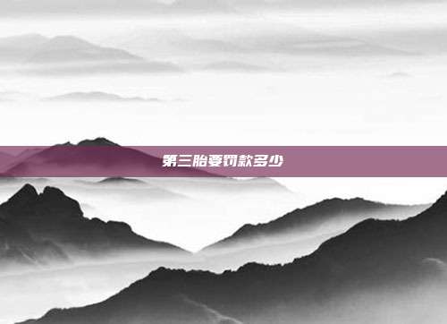 第三胎要罚款多少