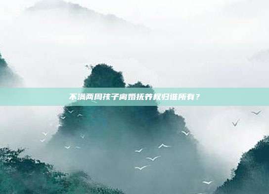 不满两周孩子离婚抚养权归谁所有?
