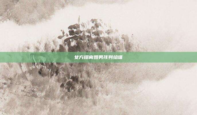 女方提离婚男孩判给谁
