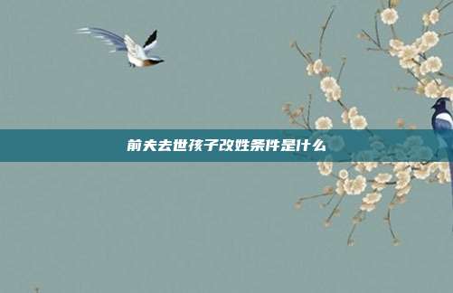 前夫去世孩子改姓条件是什么
