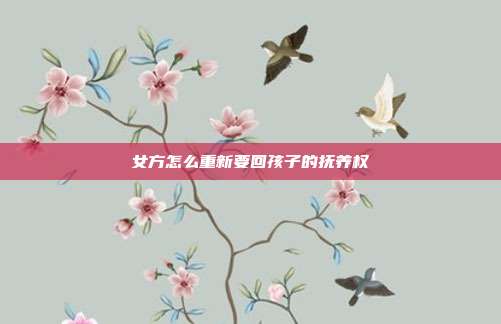 女方怎么重新要回孩子的抚养权