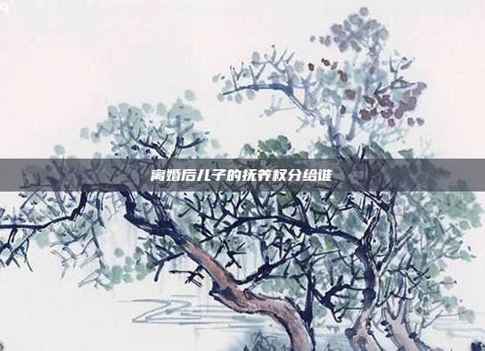 离婚后儿子的抚养权分给谁