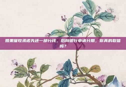 如果催收承诺先还一部分钱,后向银行申请分期,你真的敢信吗?