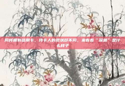 同样拥有信用卡,持卡人的现状却不同,来看看“深渊”是什么样子