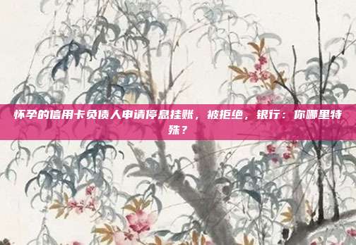 怀孕的信用卡负债人申请停息挂账，被拒绝，银行：你哪里特殊？