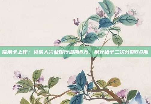 信用卡上岸：负债人兴业银行逾期6万，银行给予二次分期60期