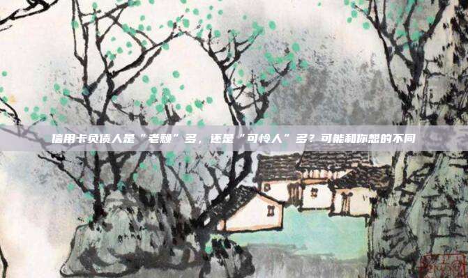 信用卡负债人是“老赖”多,还是“可怜人”多?可能和你想的不同