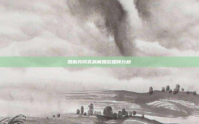 婚前共同买房离婚后如何分割