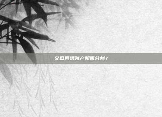 父母再婚财产如何分割?