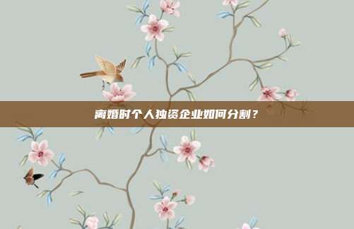 离婚时个人独资企业如何分割?
