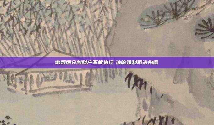 离婚后分割财产不肯执行 法院强制司法拘留
