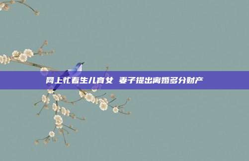 网上忙着生儿育女 妻子提出离婚多分财产