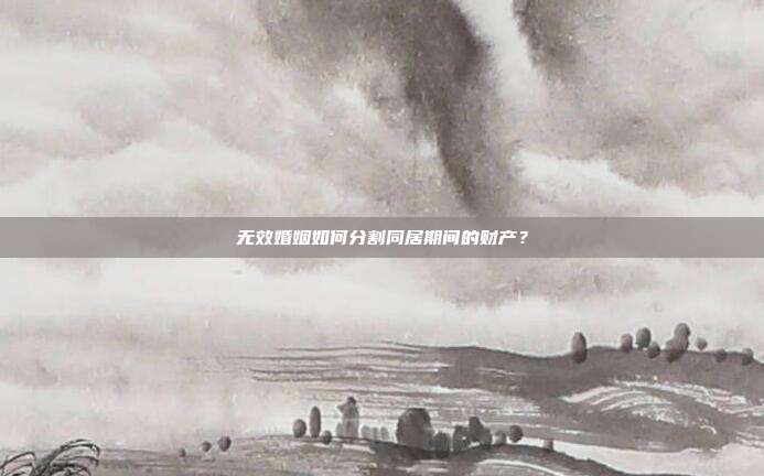 无效婚姻如何分割同居期间的财产?