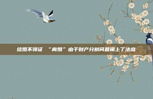 结婚不领证 “离婚”由于财产分割问题闹上了法庭